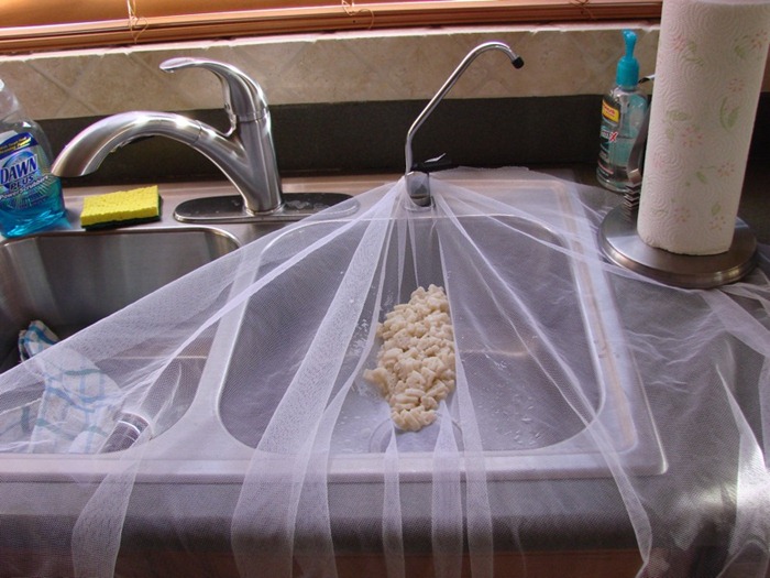 Pria Ini Pake Gaun Pernikahan